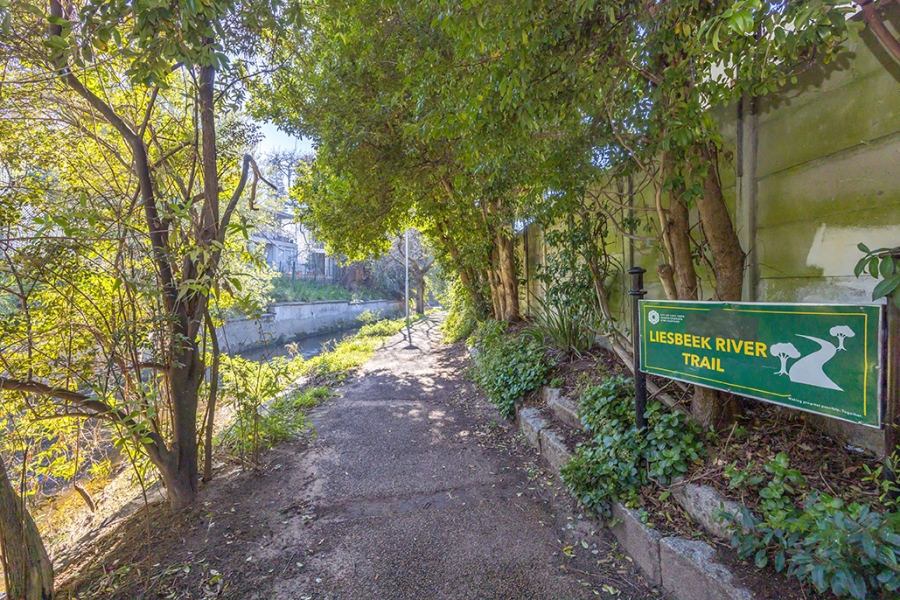 To Let 2 Bedroom Property for Rent in Rondebosch Western Cape